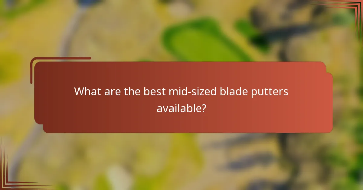 What are the best mid-sized blade putters available?