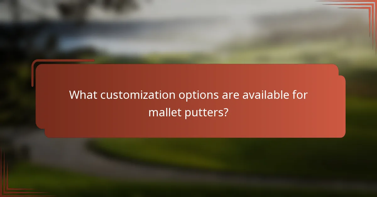 What customization options are available for mallet putters?
