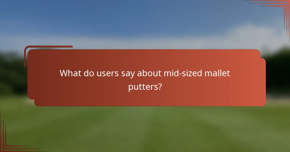 What do users say about mid-sized mallet putters?