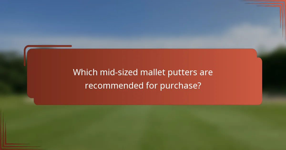 Which mid-sized mallet putters are recommended for purchase?
