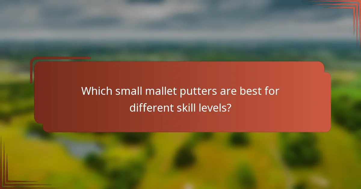 Which small mallet putters are best for different skill levels?